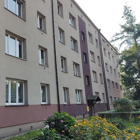 Apartament Curie Zabrze Luaran gambar